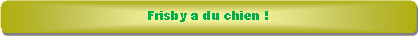 Rectangle � coins arrondis: Frisby a du chien !