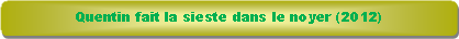 Rectangle � coins arrondis: Quentin fait la sieste dans le noyer (2012)