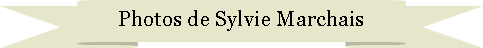 Ruban vers le haut: Photos de Sylvie Marchais